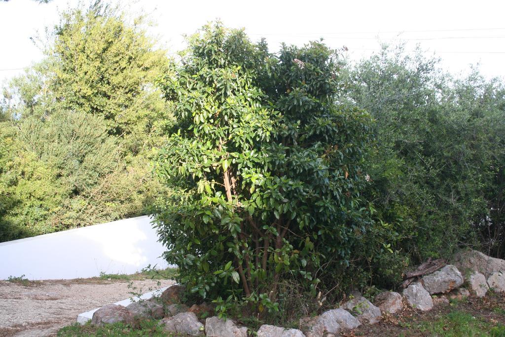Casa Do Farol Da Arrabida Villa Portinho da Arrábida Dış mekan fotoğraf